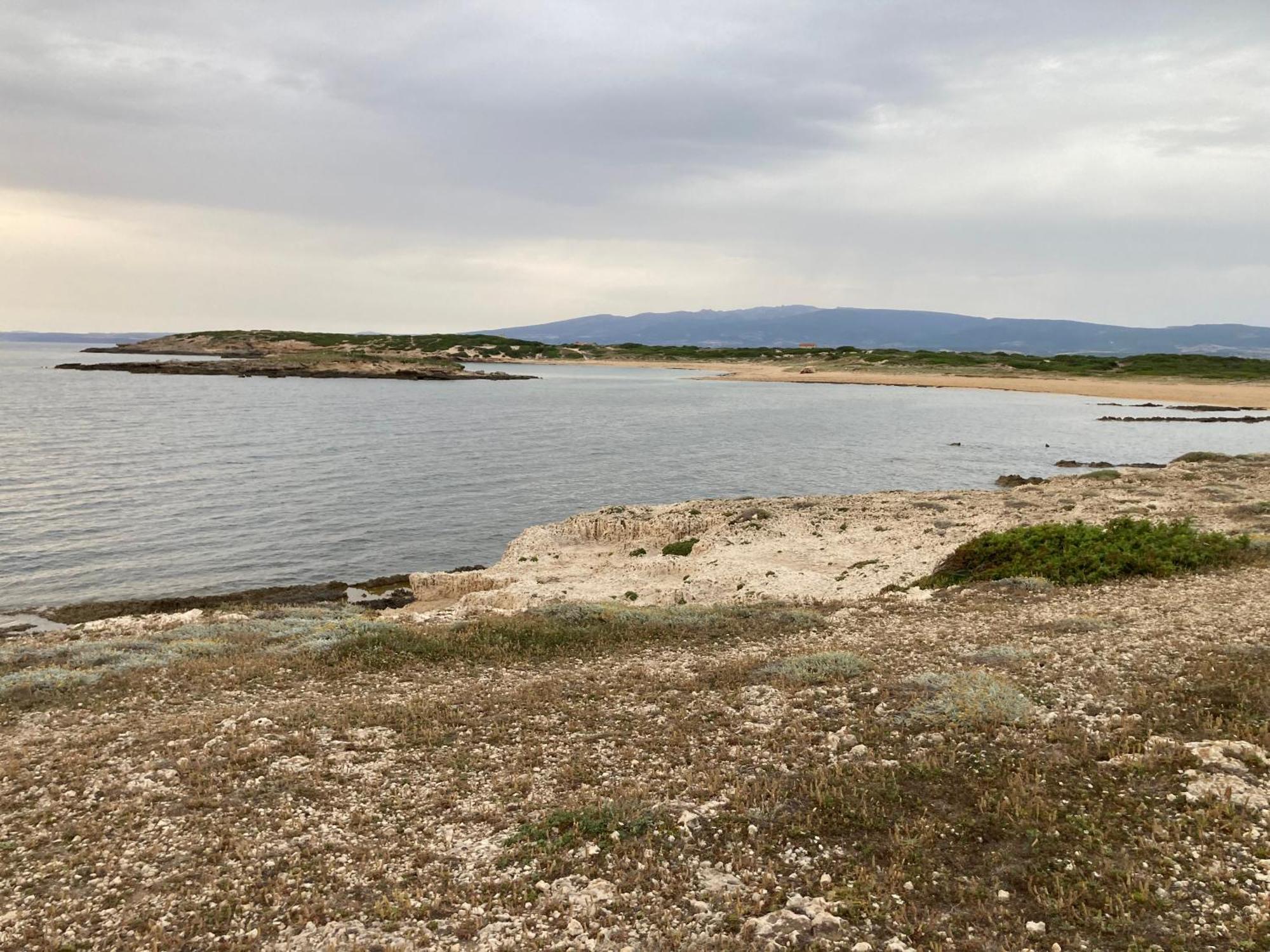 Fronte Mare S'Arena Scoada Lejlighed Putzu Idu Eksteriør billede